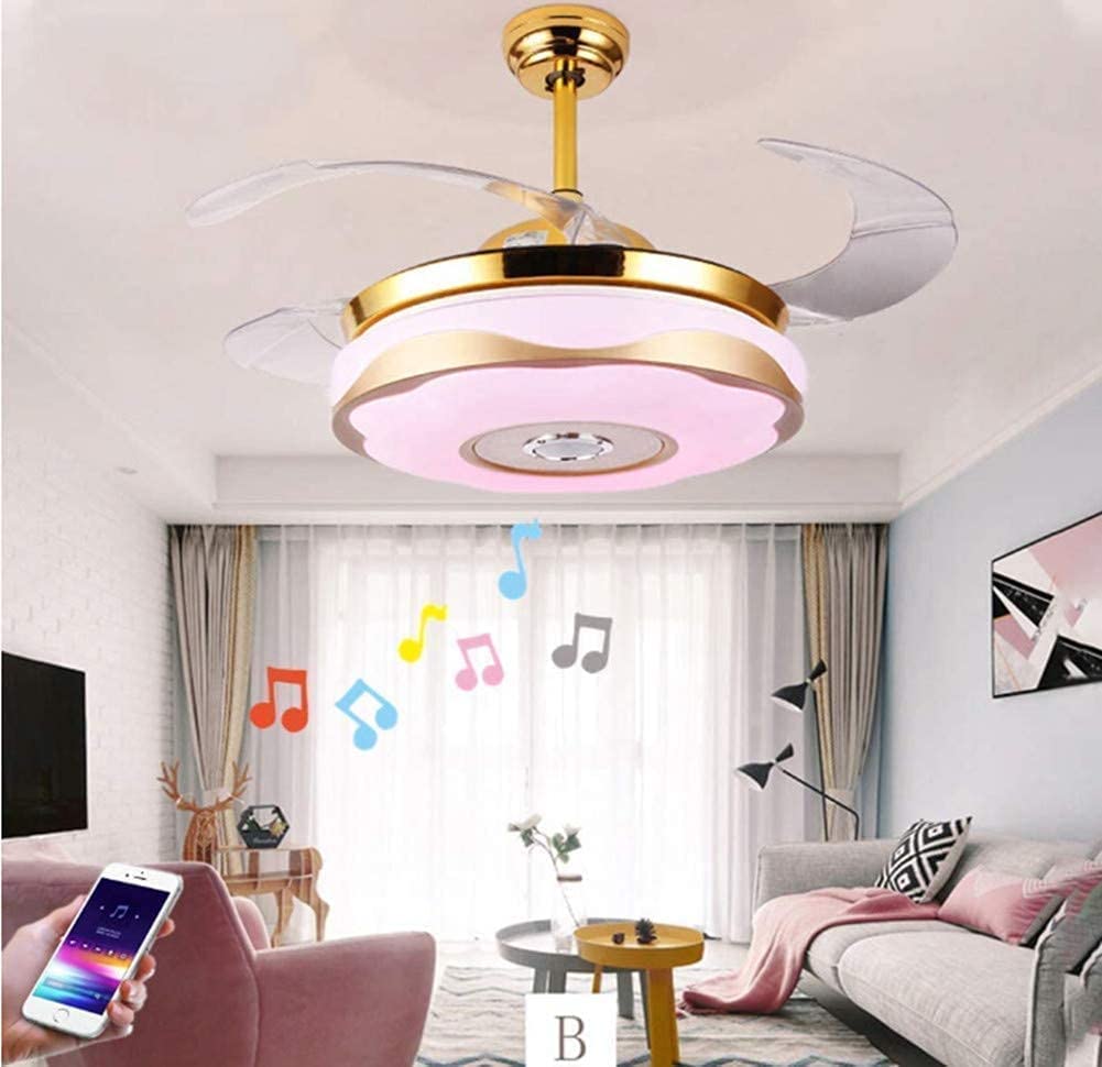 Bluetooth speaker fan