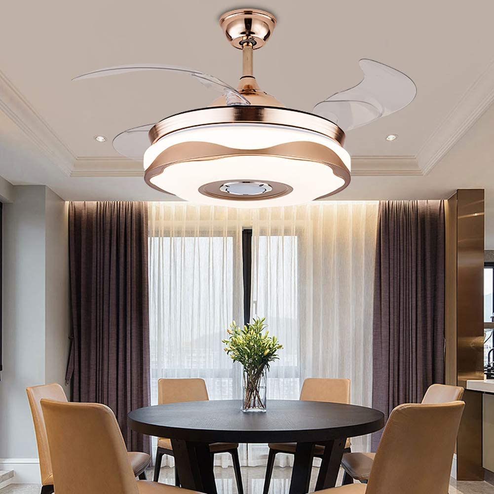 Ceiling fan with speaker