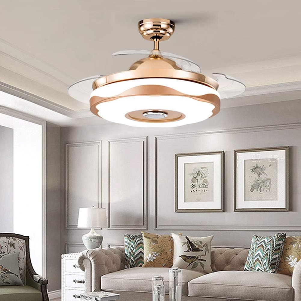 Ceiling Fan with LED Light