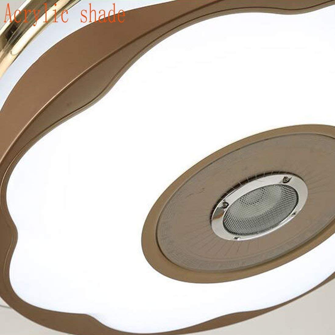 Multifunctional ceiling fan