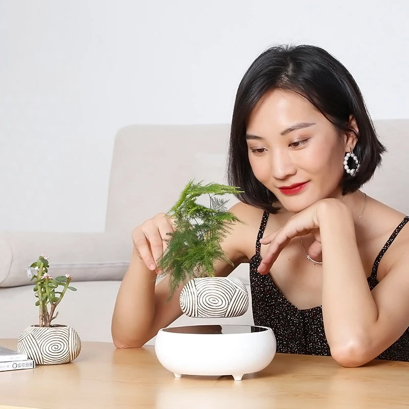 Floating Elegance Decor