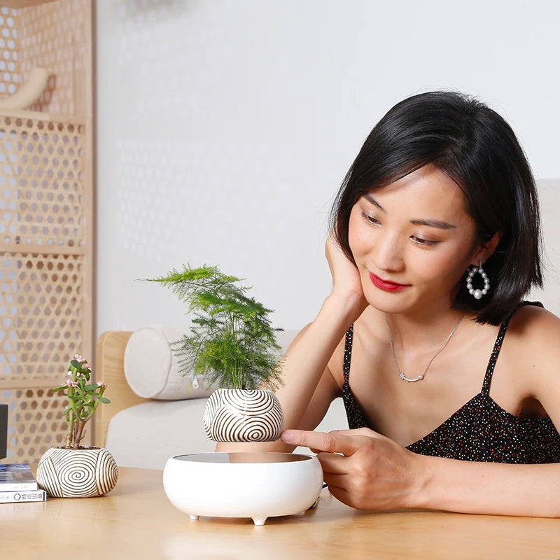 Levitating Desk Ornament