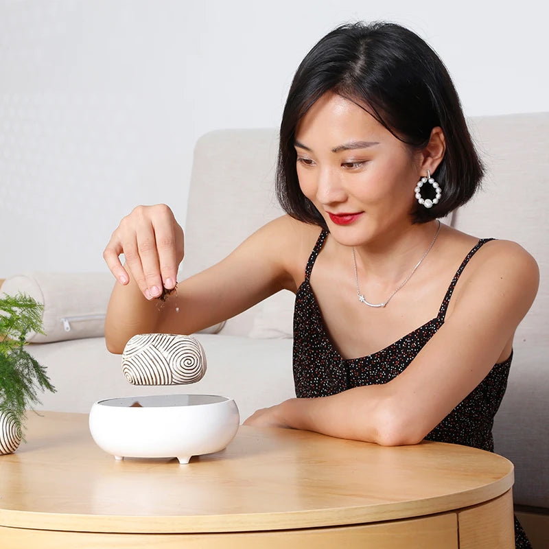 Gravity-Defying Plant Pot