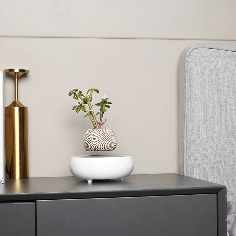 Gravity-Defying Plant Pot