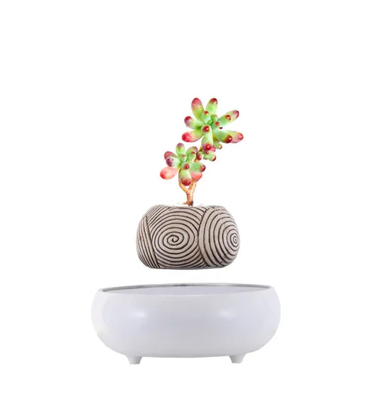 Magnetic Levitation Technology
