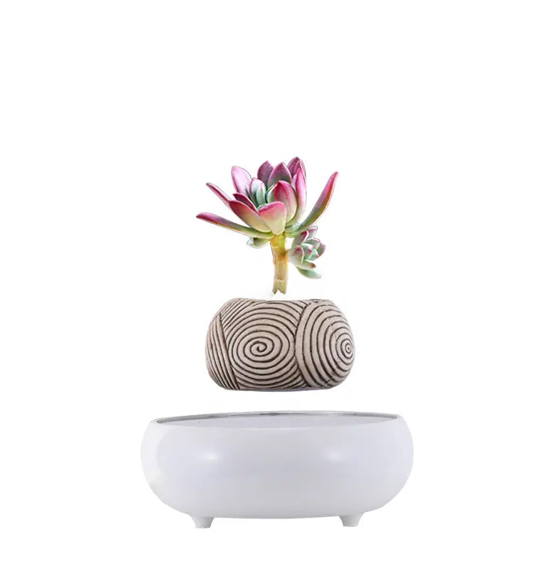 Minimalist Home Accent