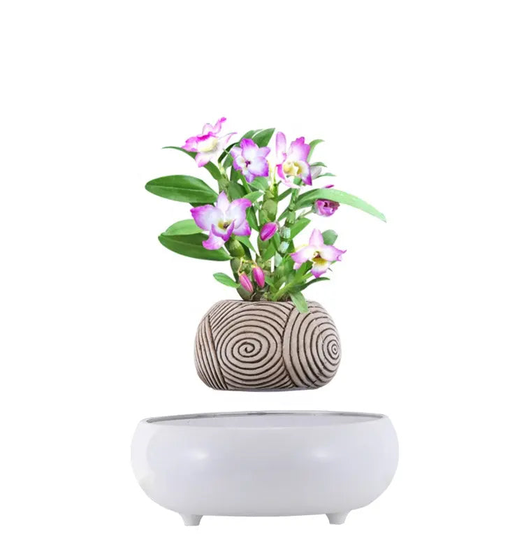 Modern Magic Interior Decoration