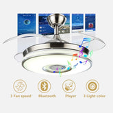 Retractable Blade Ceiling Fan