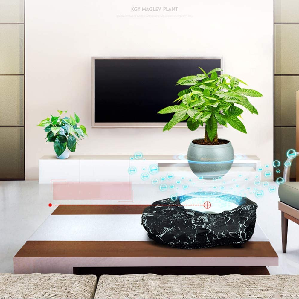 levitation plants