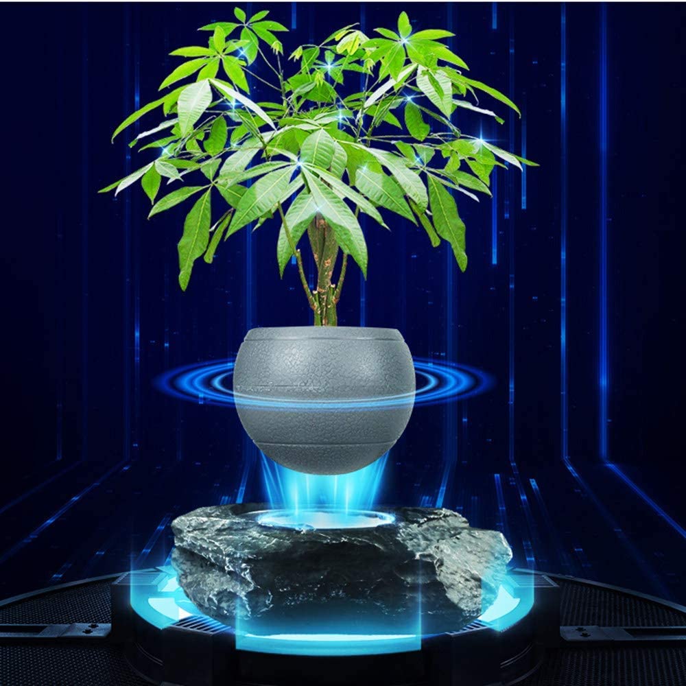 levitating air bonsai