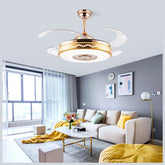 ceiling fan with hidden blades
