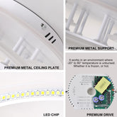Modern 6-ring LED ceiling lamp