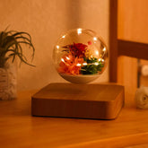 levitating rose