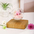 anti gravity fountain lamp