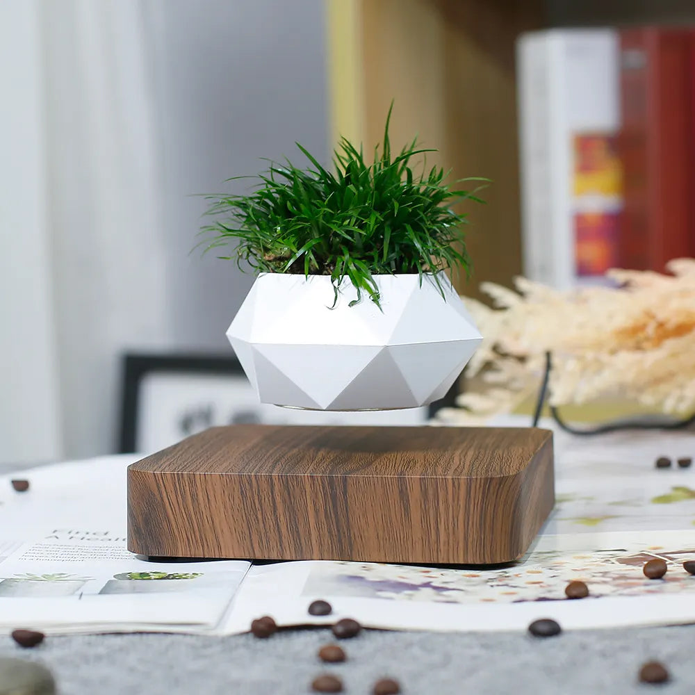 magnetic levitation plant flower pot