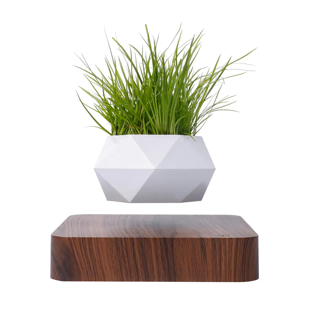 bonsai magnetic floating