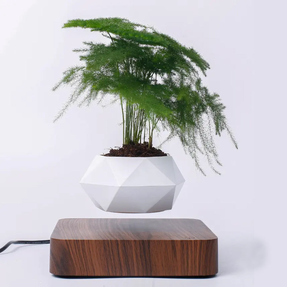 magnetic flower pot