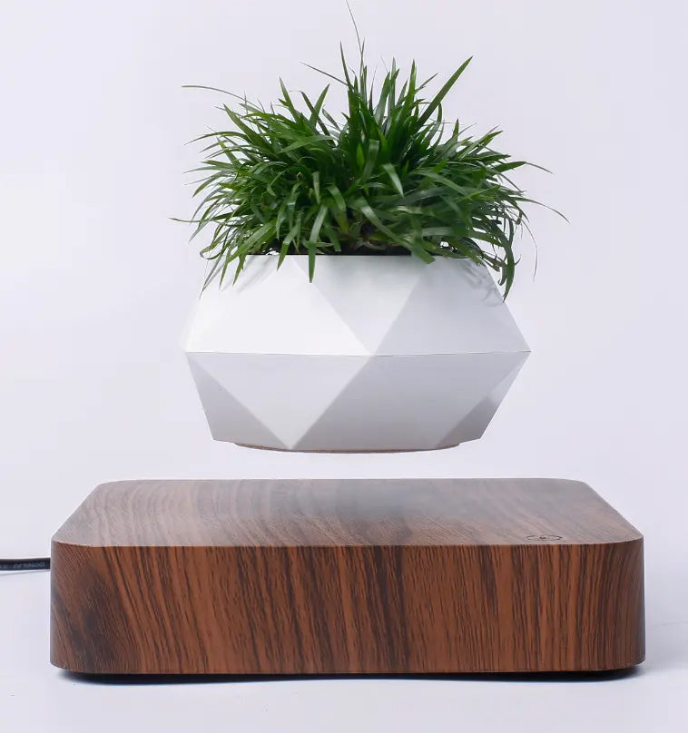 levitating bonsai pot