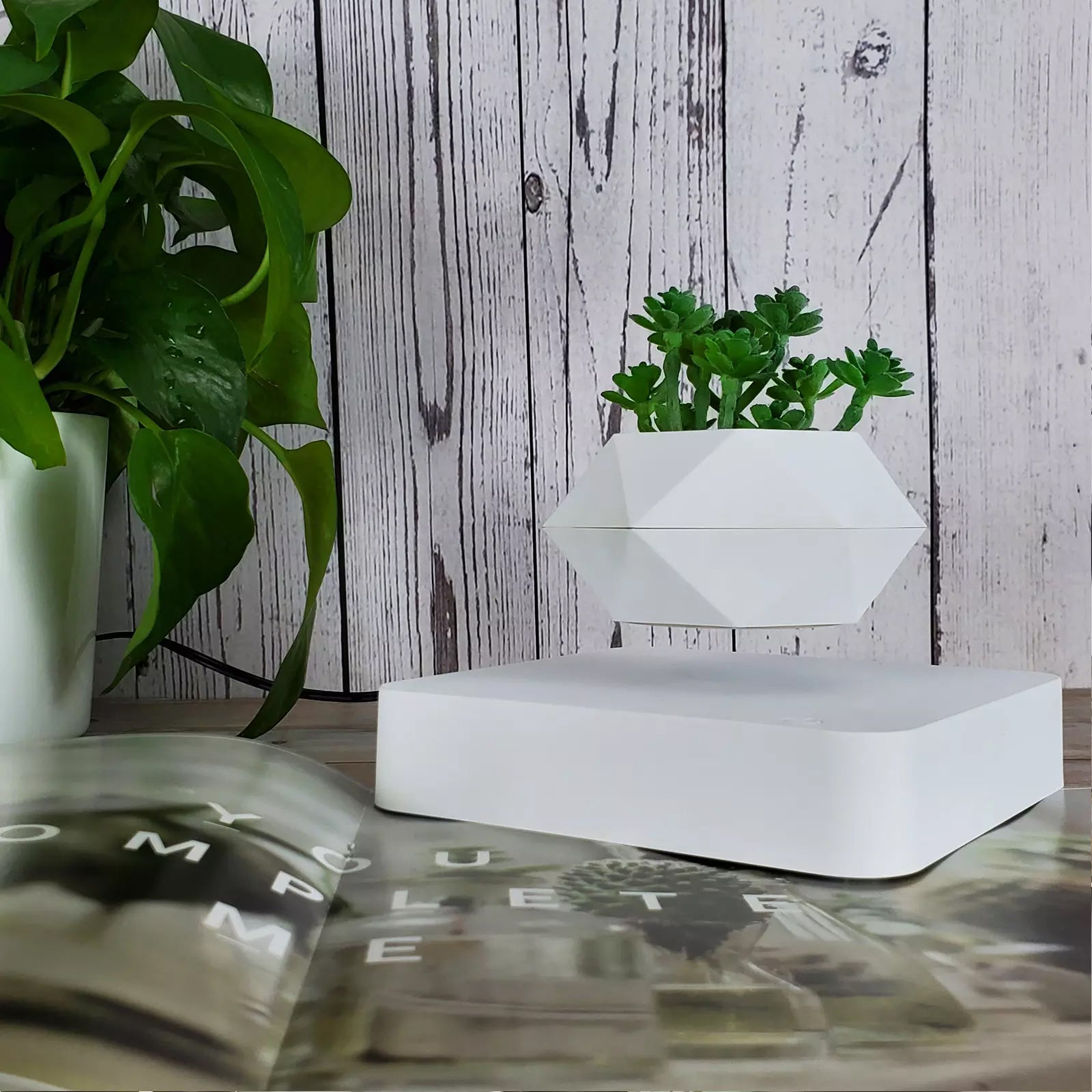 levitation bonsai