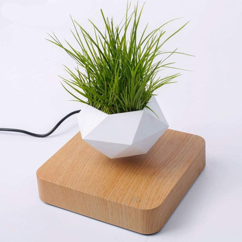 floating flower pot magnetic