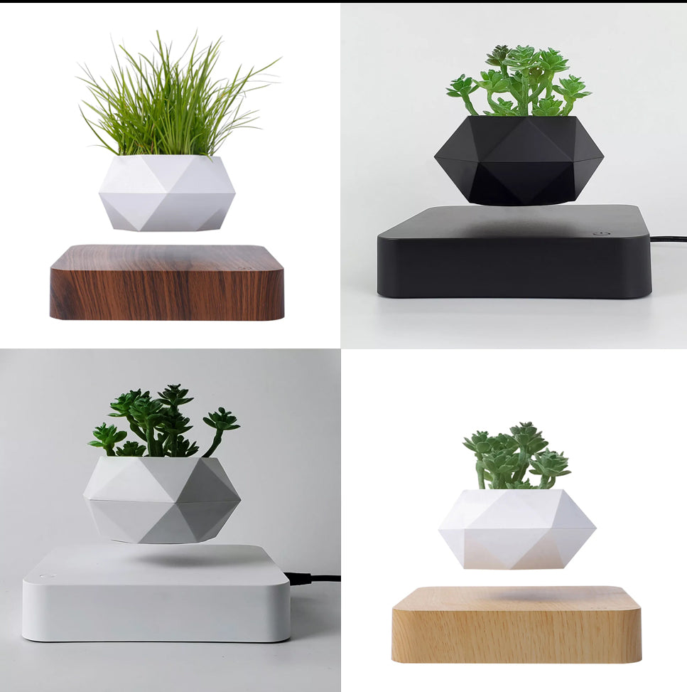 levitation plants