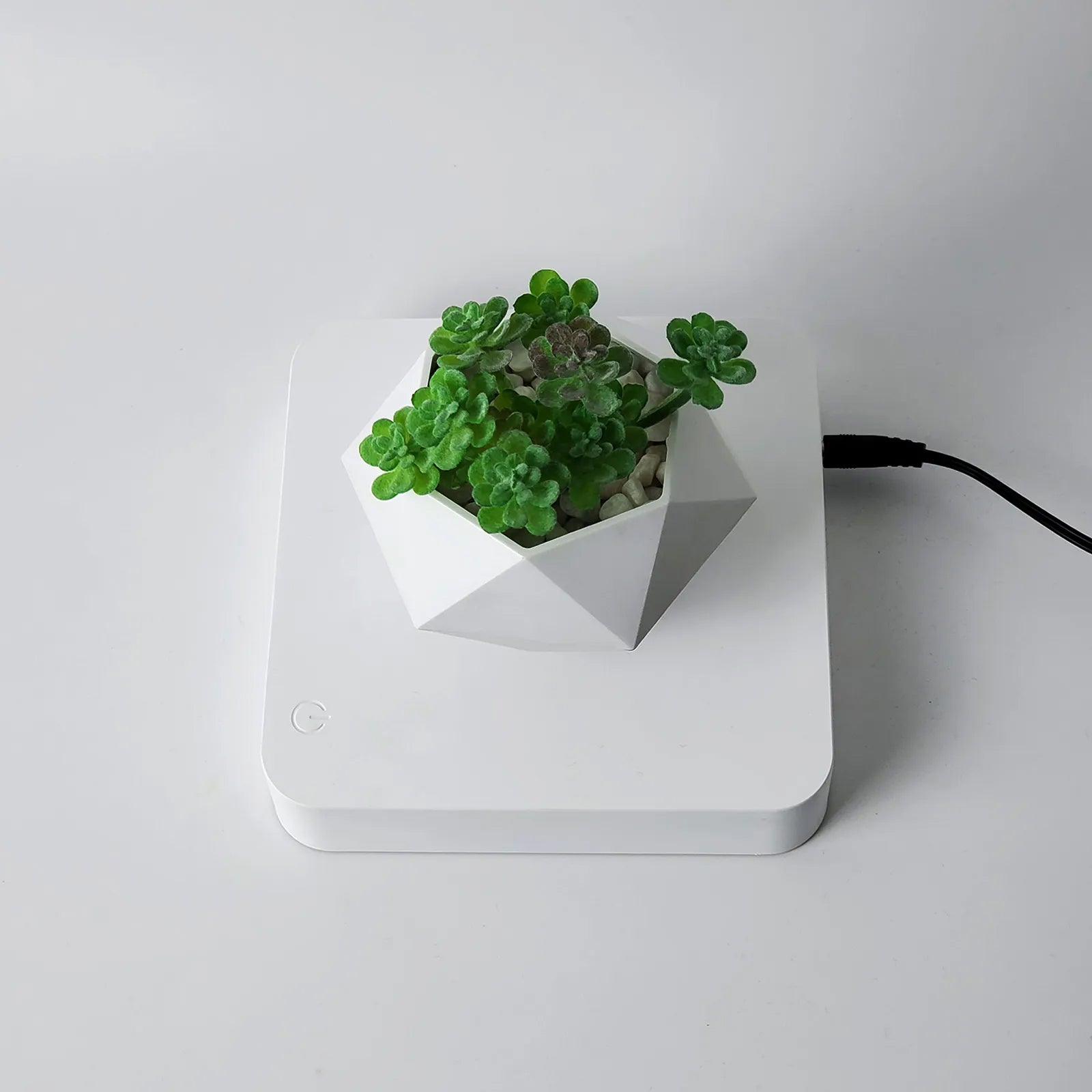levitating air bonsai pot rotation