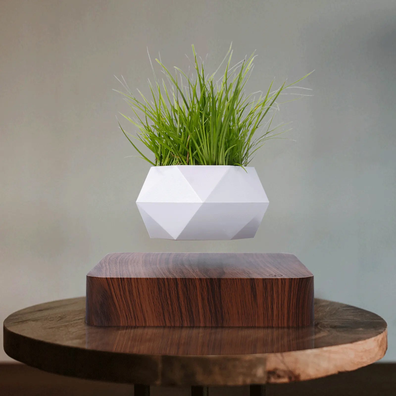 levitating flower pot