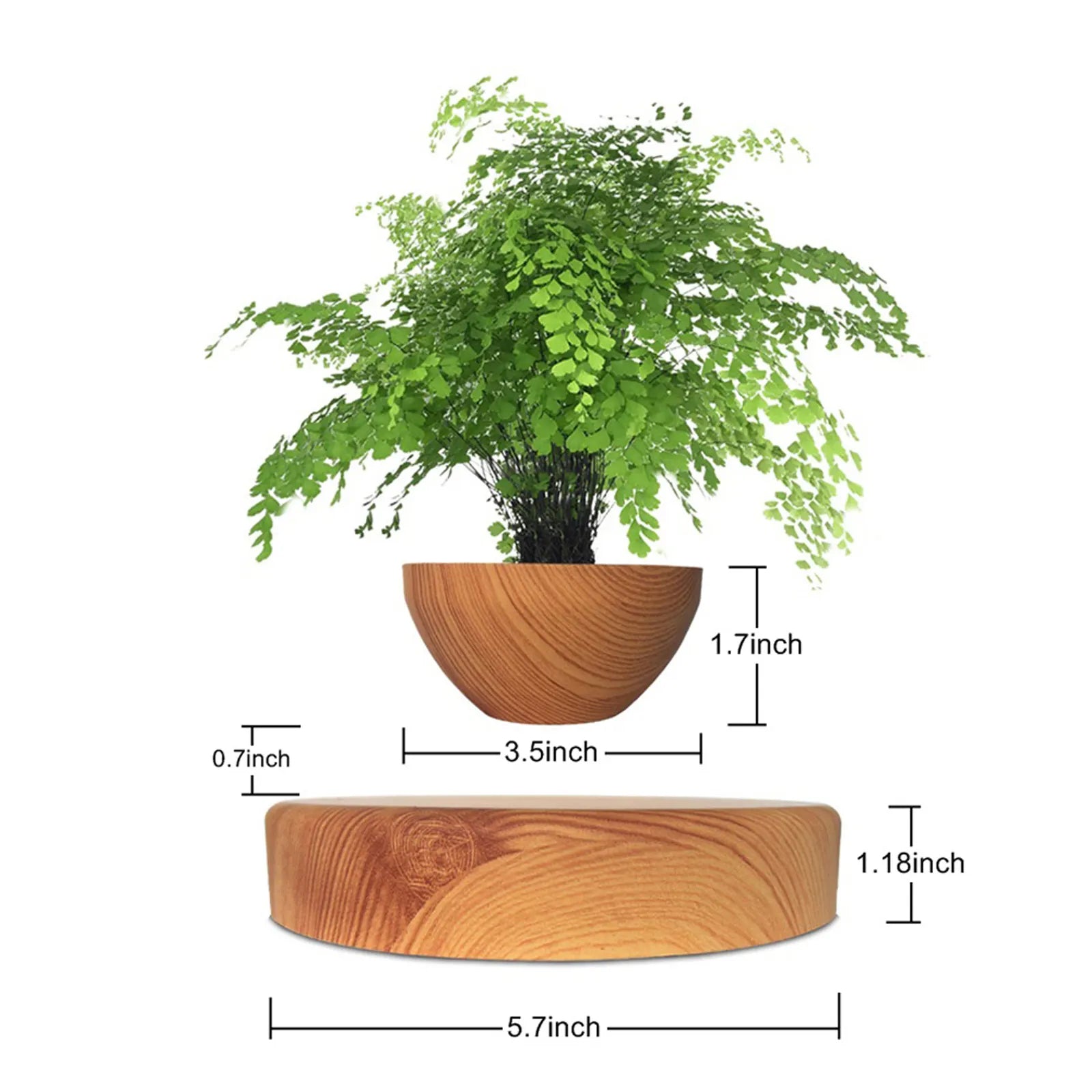 levitation bonsai