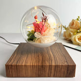 floating lamp