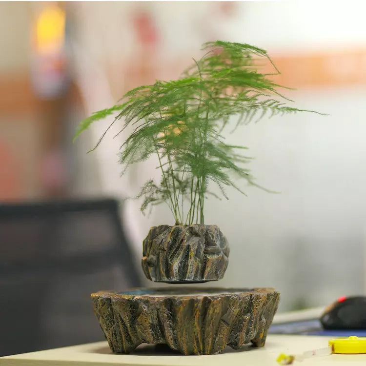 magnetic levitating flower pot