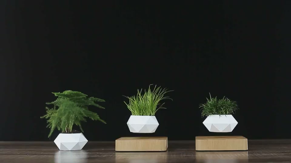 levitation pot