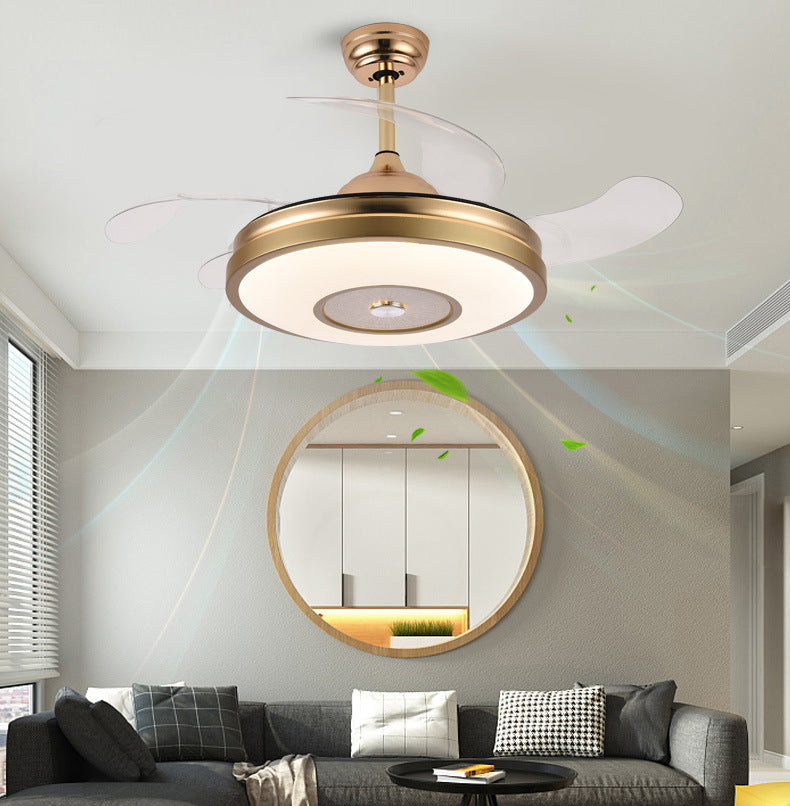Ceiling Fans – Exclusive Home Decorations