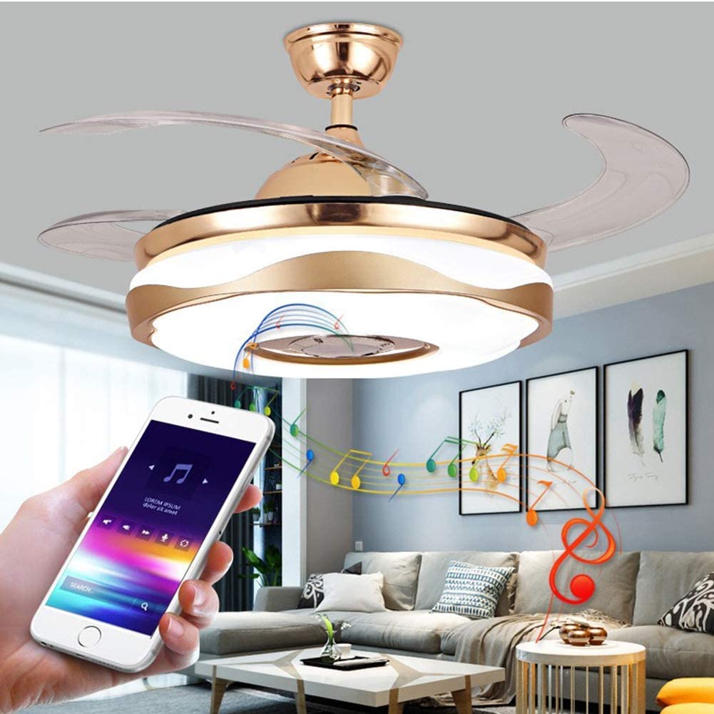 Multifunctional ceiling fan