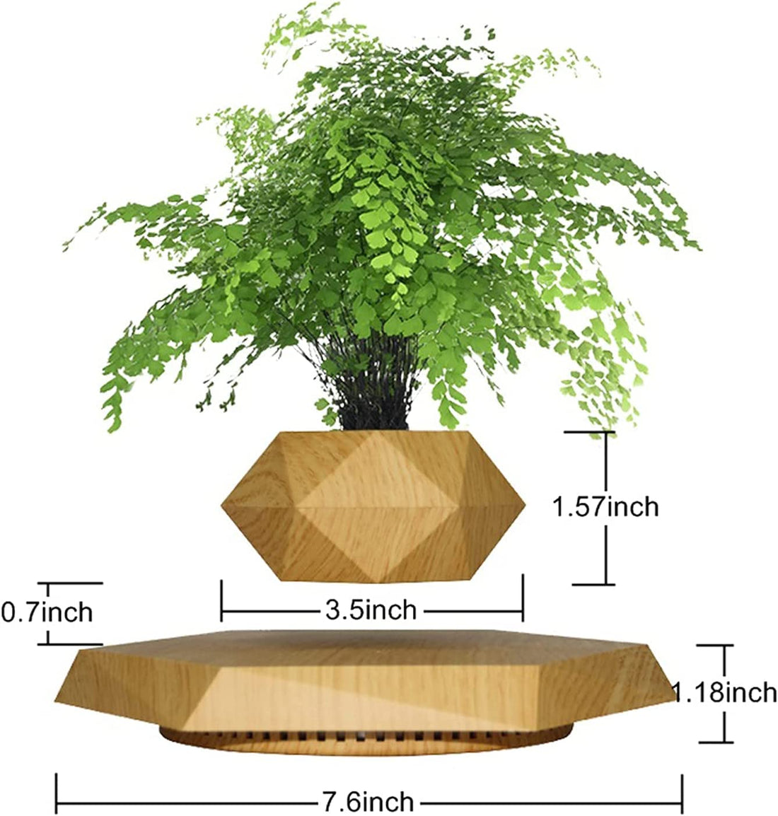 bonsai magnetic floating