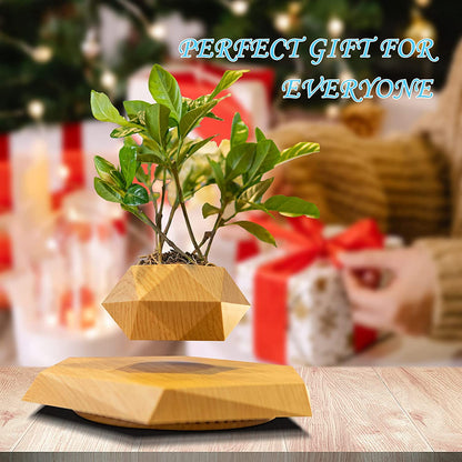 Christmas Gift Magnetic Levitating Flowerpot Hot Selling Air Plant