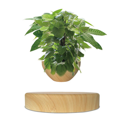 levitating pot plants