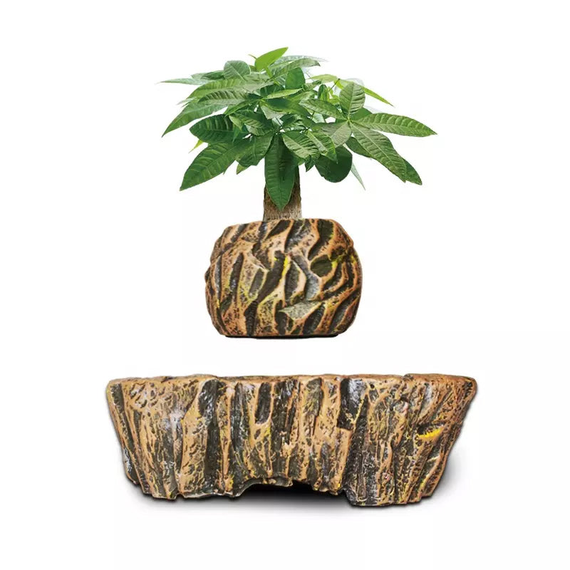 magnetic levitation air bonsai pot