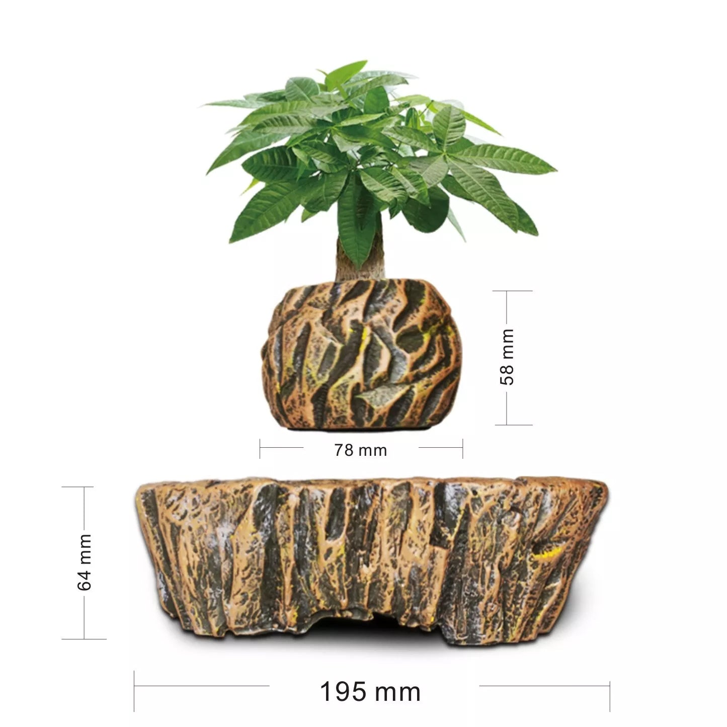 levitating air bonsai pot