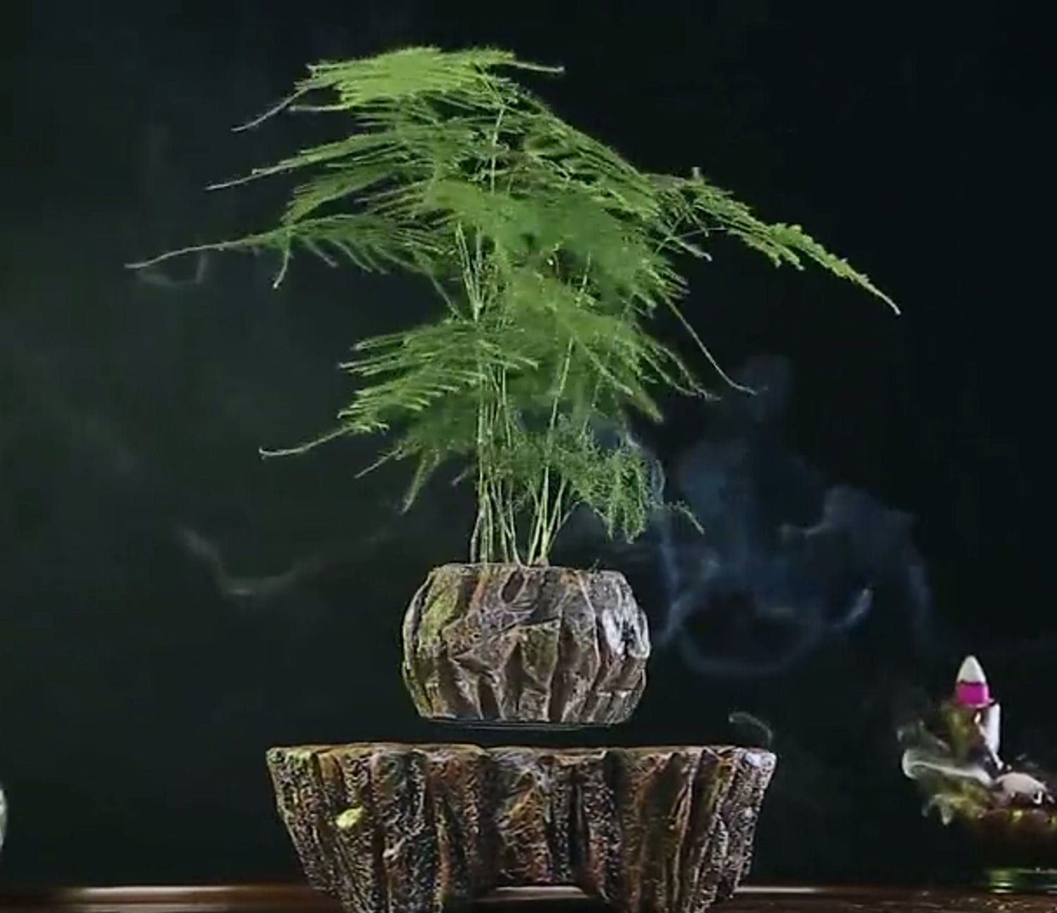 magnetic levitation bonsai