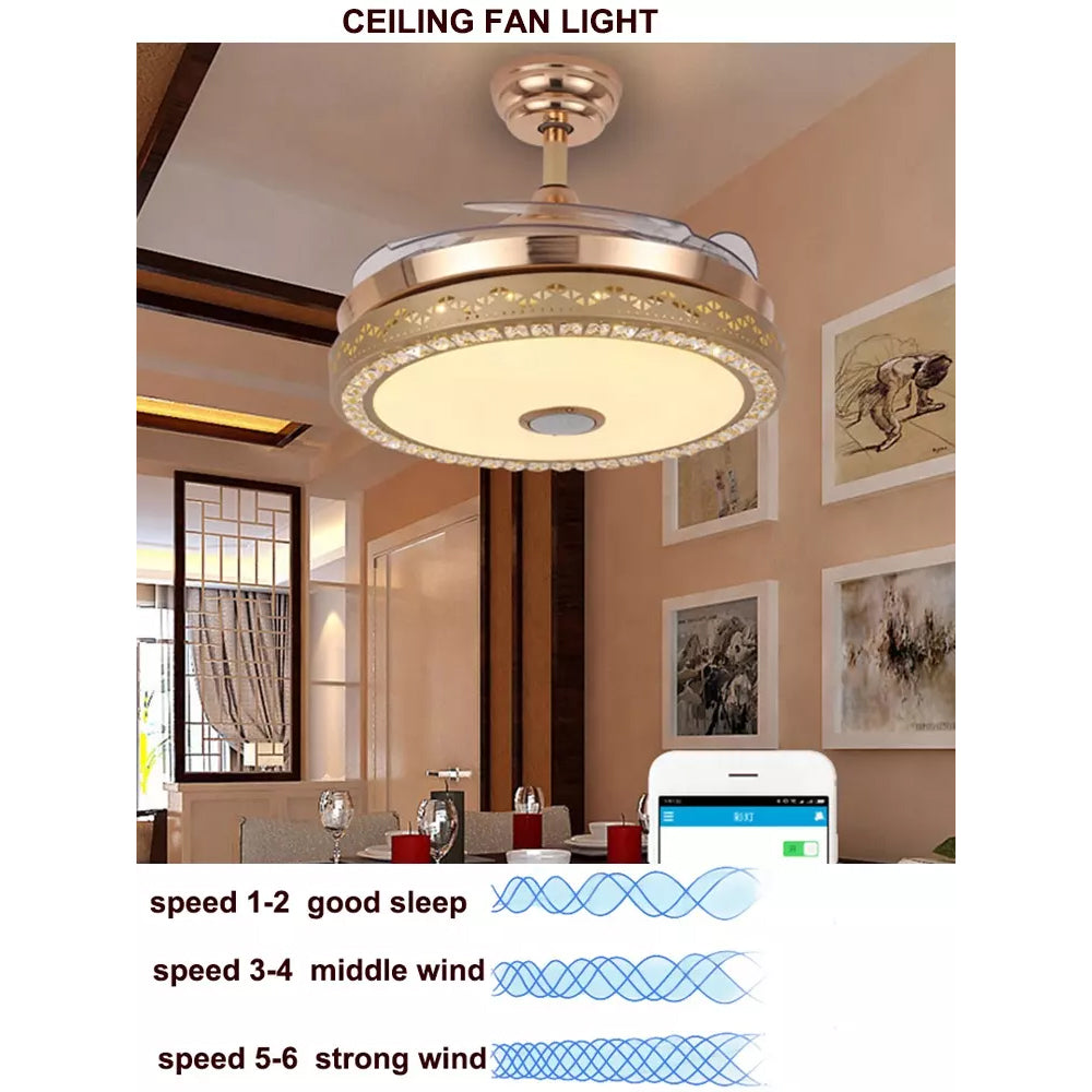 ceiling light with hidden fan blades